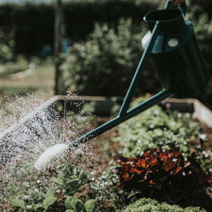 The Warley Fall by HAWS HDG - Thumbnail 2