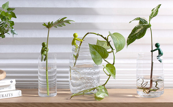 Leafriend Plant Propagation Buddy - Thumbnail 2